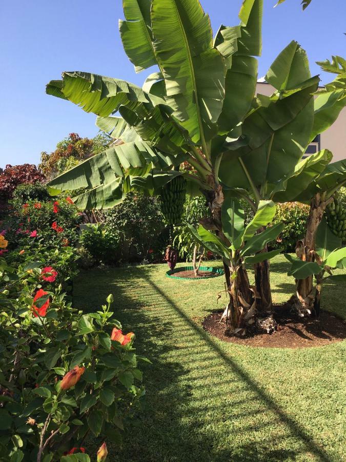فيلا La Quinta Garden Santa Úrsula المظهر الخارجي الصورة